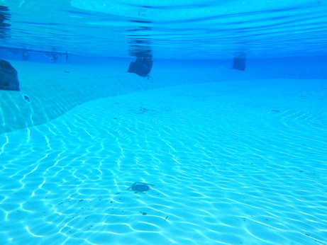 f:id:katsushika-miyah:20170820153623j:plain f:id:katsushika-miyah:20170820153623j:plain