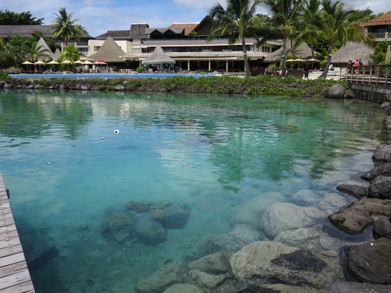 f:id:katsushika-miyah:20170820155700j:plain f:id:katsushika-miyah:20170820155700j:plain