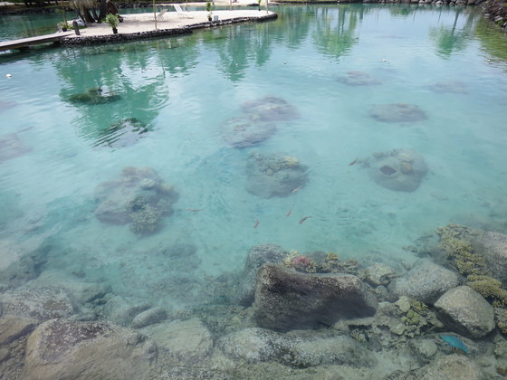 f:id:katsushika-miyah:20170820160637j:plain f:id:katsushika-miyah:20170820160637j:plain