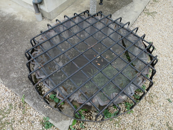 f:id:katsushika-miyah:20170927230334j:plain f:id:katsushika-miyah:20170927230334j:plain