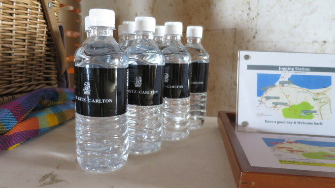 f:id:katsushika-miyah:20171108001033j:plain