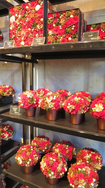 f:id:katsushika-miyah:20171209211526j:plain f:id:katsushika-miyah:20171209211526j:plain