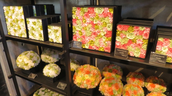 f:id:katsushika-miyah:20171209224520j:plain f:id:katsushika-miyah:20171209224520j:plain