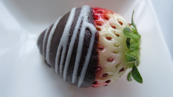 f:id:katsushika-miyah:20180203235755j:plain