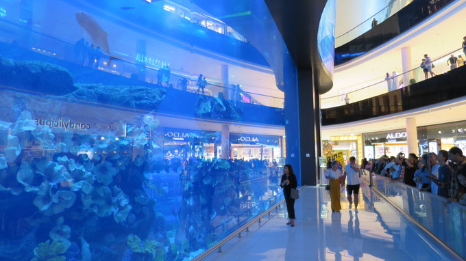 f:id:katsushika-miyah:20181026172949j:plain f:id:katsushika-miyah:20181026172949j:plain