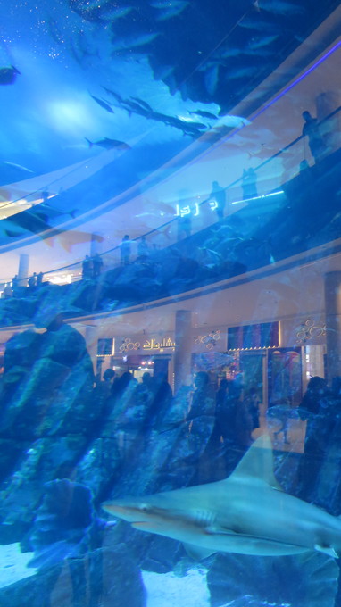 f:id:katsushika-miyah:20181026174119j:plain f:id:katsushika-miyah:20181026174119j:plain