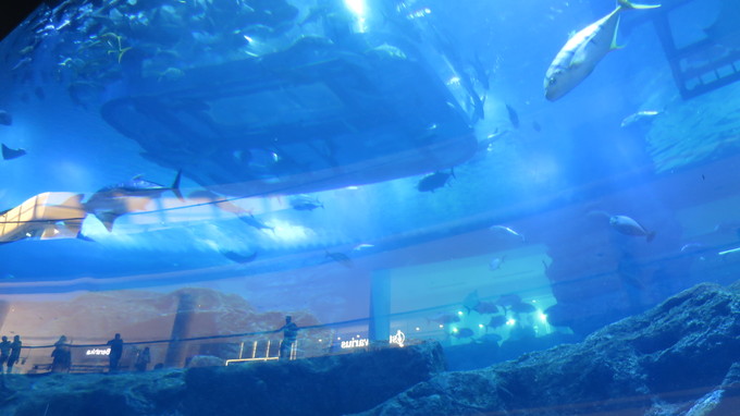 f:id:katsushika-miyah:20181026175619j:plain f:id:katsushika-miyah:20181026175619j:plain