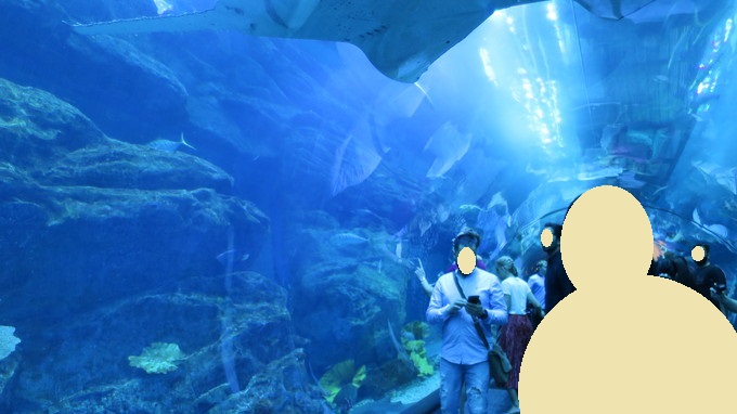 f:id:katsushika-miyah:20181026175829j:plain f:id:katsushika-miyah:20181026175829j:plain