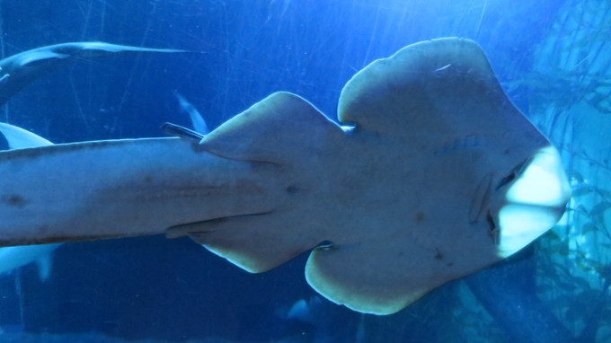 f:id:katsushika-miyah:20181026175957j:plain f:id:katsushika-miyah:20181026175957j:plain