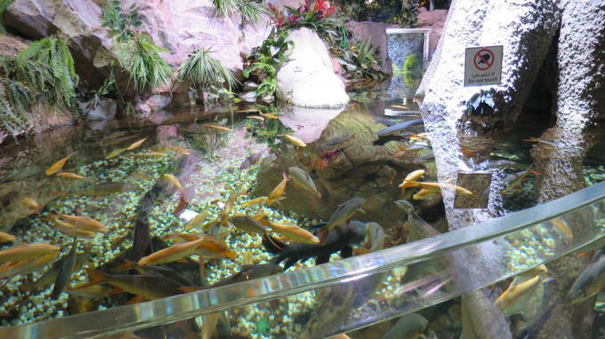 f:id:katsushika-miyah:20181026195146j:plain f:id:katsushika-miyah:20181026195146j:plain