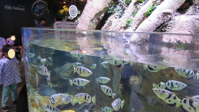 f:id:katsushika-miyah:20181026213121j:plain f:id:katsushika-miyah:20181026213121j:plain