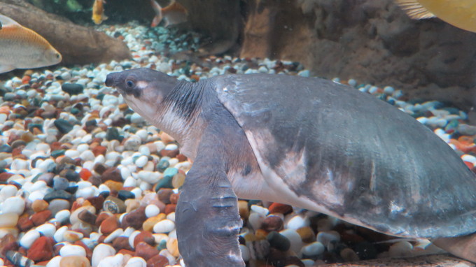 f:id:katsushika-miyah:20181026221127j:plain f:id:katsushika-miyah:20181026221127j:plain