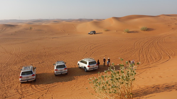 f:id:katsushika-miyah:20181029231950j:plain f:id:katsushika-miyah:20181029231950j:plain