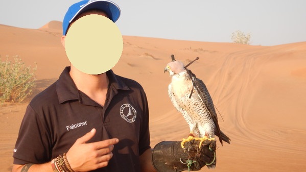 f:id:katsushika-miyah:20181029233603j:plain f:id:katsushika-miyah:20181029233603j:plain