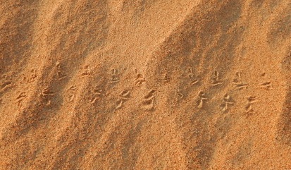 f:id:katsushika-miyah:20181029234118j:plain f:id:katsushika-miyah:20181029234118j:plain