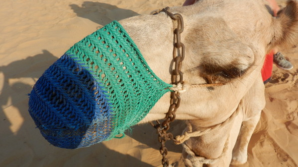 f:id:katsushika-miyah:20181030010315j:plain f:id:katsushika-miyah:20181030010315j:plain