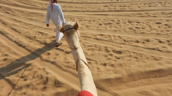 f:id:katsushika-miyah:20181030010430j:plain f:id:katsushika-miyah:20181030010430j:plain