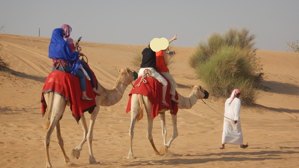 f:id:katsushika-miyah:20181030011555j:plain f:id:katsushika-miyah:20181030011555j:plain