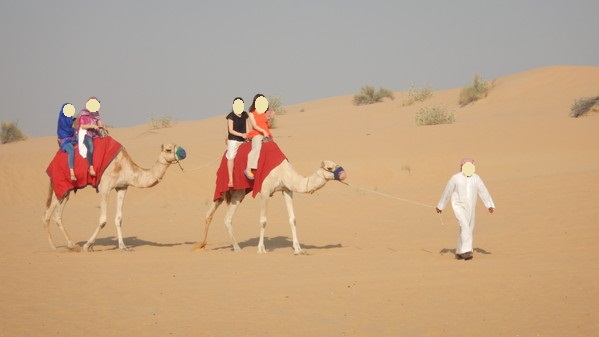 f:id:katsushika-miyah:20181030011748j:plain f:id:katsushika-miyah:20181030011748j:plain