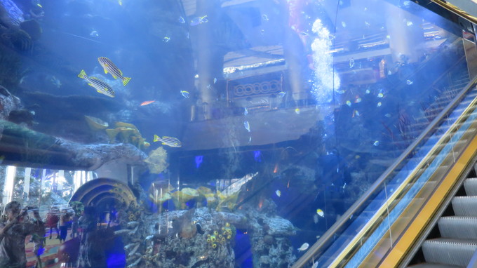 f:id:katsushika-miyah:20181101220834j:plain