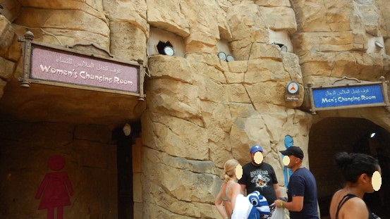 f:id:katsushika-miyah:20181107004950j:plain f:id:katsushika-miyah:20181107004950j:plain