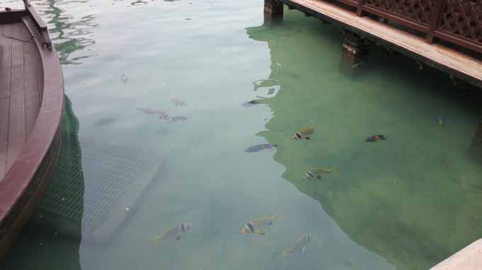 f:id:katsushika-miyah:20181111042327j:plain f:id:katsushika-miyah:20181111042327j:plain