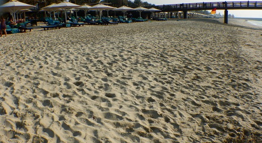 f:id:katsushika-miyah:20181112011346j:plain f:id:katsushika-miyah:20181112011346j:plain