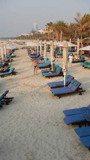 f:id:katsushika-miyah:20181112015504j:plain f:id:katsushika-miyah:20181112015504j:plain