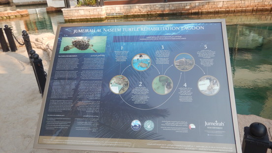 f:id:katsushika-miyah:20181113034957j:plain f:id:katsushika-miyah:20181113034957j:plain