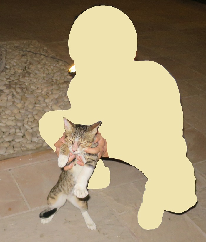 f:id:katsushika-miyah:20181113043603j:plain f:id:katsushika-miyah:20181113043603j:plain