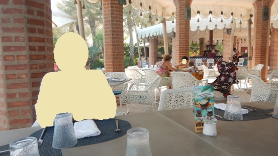 f:id:katsushika-miyah:20181114031244j:plain