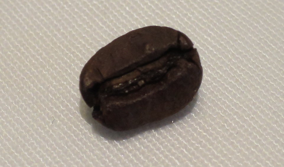 f:id:katsushika-miyah:20191217224431j:plain f:id:katsushika-miyah:20191217224431j:plain