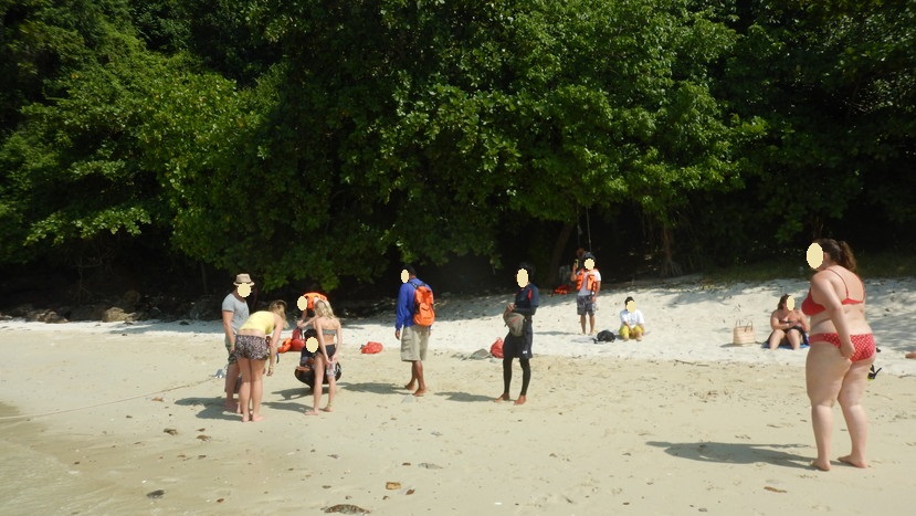 f:id:katsushika-miyah:20191223035959j:plain f:id:katsushika-miyah:20191223035959j:plain