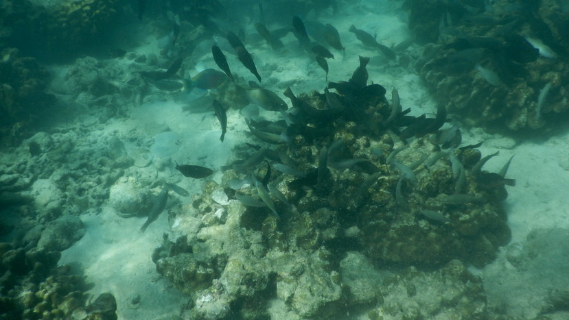 f:id:katsushika-miyah:20191223140552j:plain f:id:katsushika-miyah:20191223140552j:plain