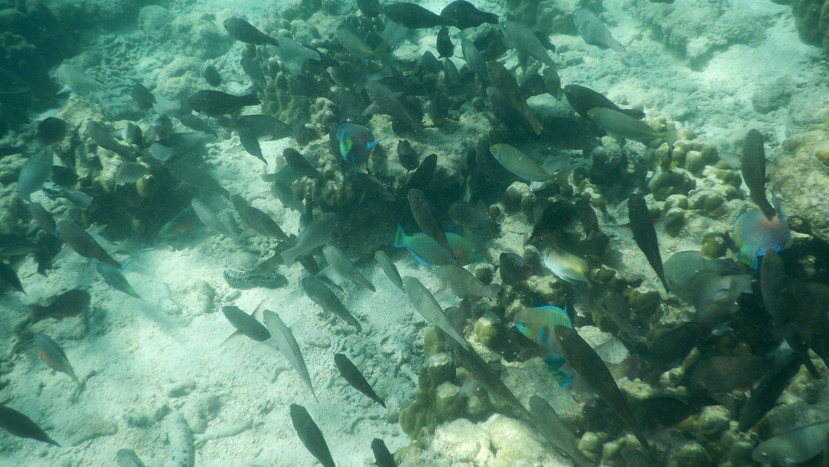 f:id:katsushika-miyah:20191223140656j:plain f:id:katsushika-miyah:20191223140656j:plain