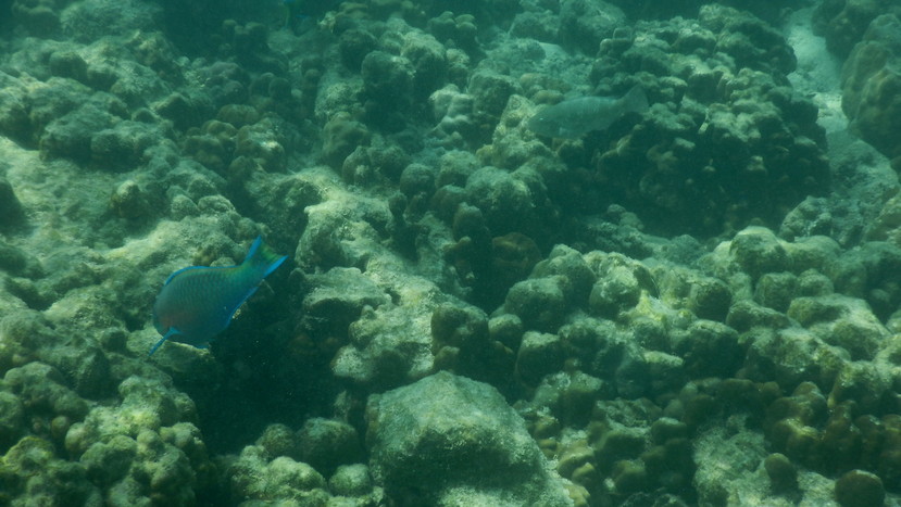 f:id:katsushika-miyah:20191223141657j:plain f:id:katsushika-miyah:20191223141657j:plain