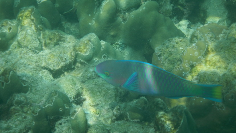 f:id:katsushika-miyah:20191223142600j:plain f:id:katsushika-miyah:20191223142600j:plain