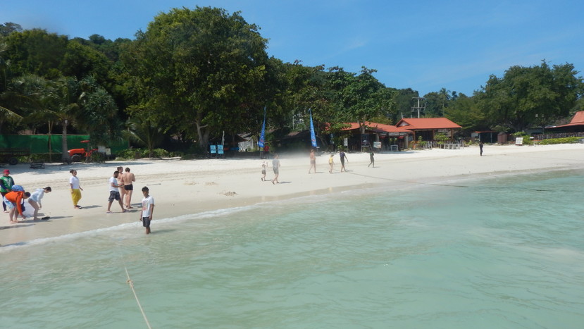 f:id:katsushika-miyah:20191224004216j:plain f:id:katsushika-miyah:20191224004216j:plain