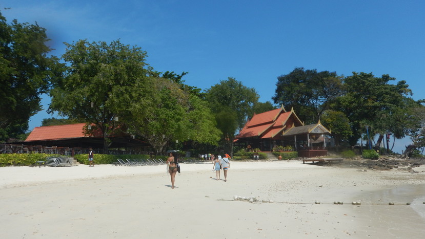 f:id:katsushika-miyah:20191224004530j:plain f:id:katsushika-miyah:20191224004530j:plain