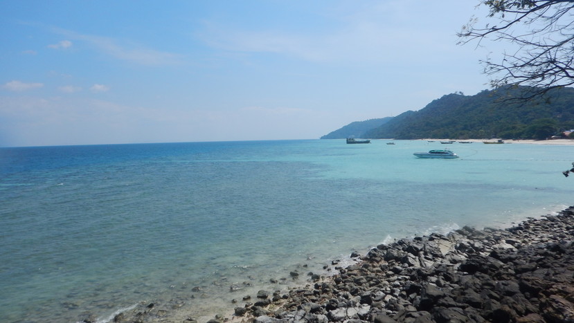 f:id:katsushika-miyah:20191224005521j:plain f:id:katsushika-miyah:20191224005521j:plain