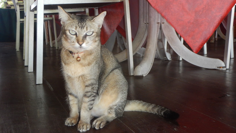 f:id:katsushika-miyah:20191224005631j:plain f:id:katsushika-miyah:20191224005631j:plain