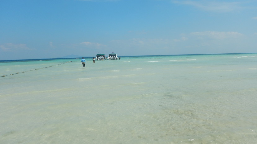 f:id:katsushika-miyah:20191224010320j:plain f:id:katsushika-miyah:20191224010320j:plain