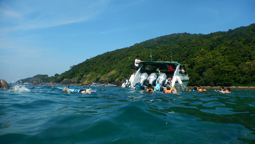 f:id:katsushika-miyah:20191224011408j:plain f:id:katsushika-miyah:20191224011408j:plain