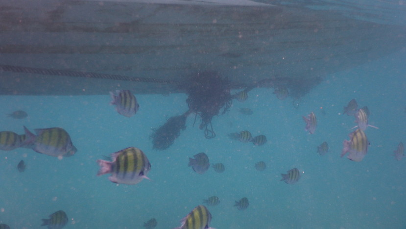 f:id:katsushika-miyah:20191224011742j:plain f:id:katsushika-miyah:20191224011742j:plain