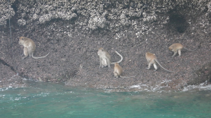 f:id:katsushika-miyah:20191224013546j:plain f:id:katsushika-miyah:20191224013546j:plain