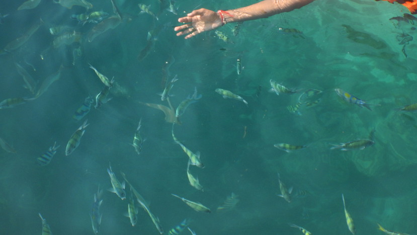 f:id:katsushika-miyah:20191224022539j:plain f:id:katsushika-miyah:20191224022539j:plain