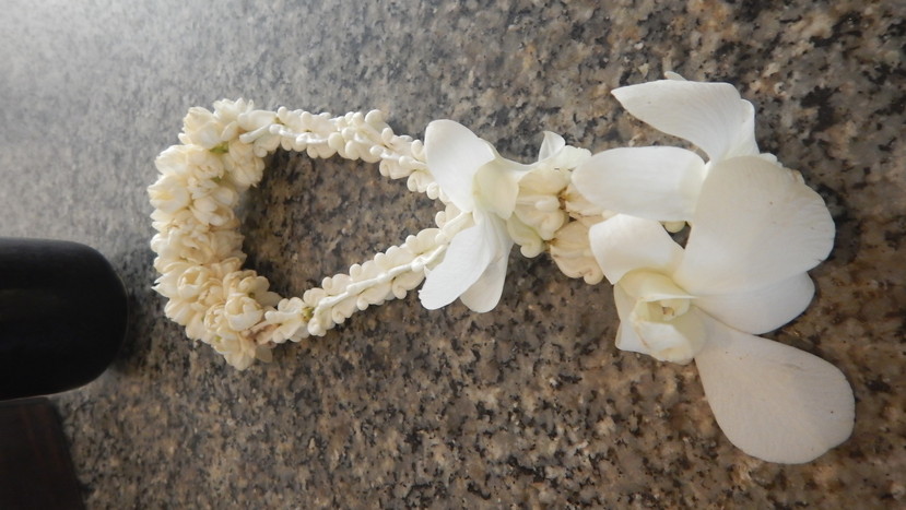 f:id:katsushika-miyah:20191225174407j:plain f:id:katsushika-miyah:20191225174407j:plain