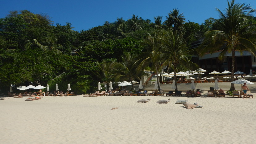 f:id:katsushika-miyah:20191226004439j:plain f:id:katsushika-miyah:20191226004439j:plain