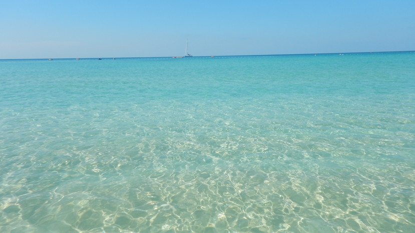 f:id:katsushika-miyah:20191226010705j:plain f:id:katsushika-miyah:20191226010705j:plain