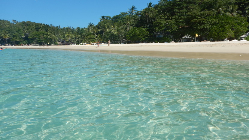 f:id:katsushika-miyah:20191226142643j:plain f:id:katsushika-miyah:20191226142643j:plain